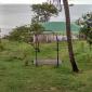 DSC 0015