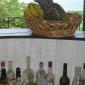 IMG 4765