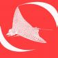 deefer logo