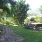 carriacou feb 09 077