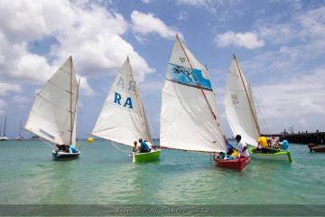 Regatta 5