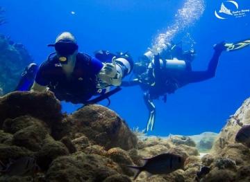 deeferdive