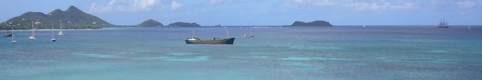 Bay view top